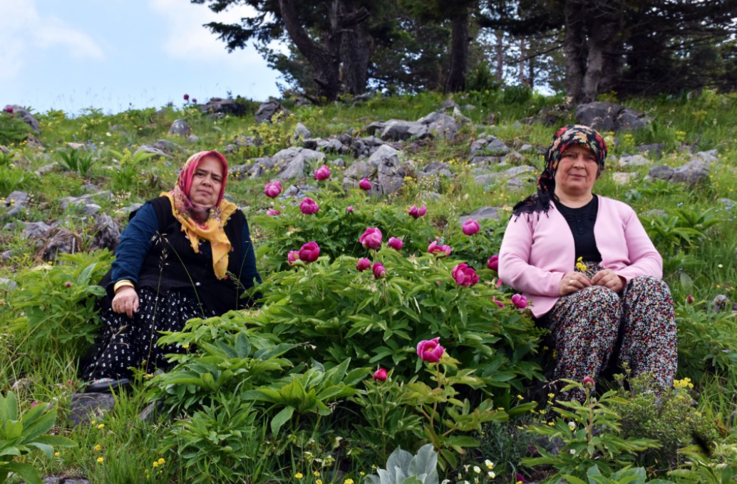 Ekran Görüntüsü 2025 06 07 134302