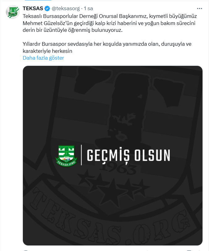 Ekran Görüntüsü 2025 06 29 132647