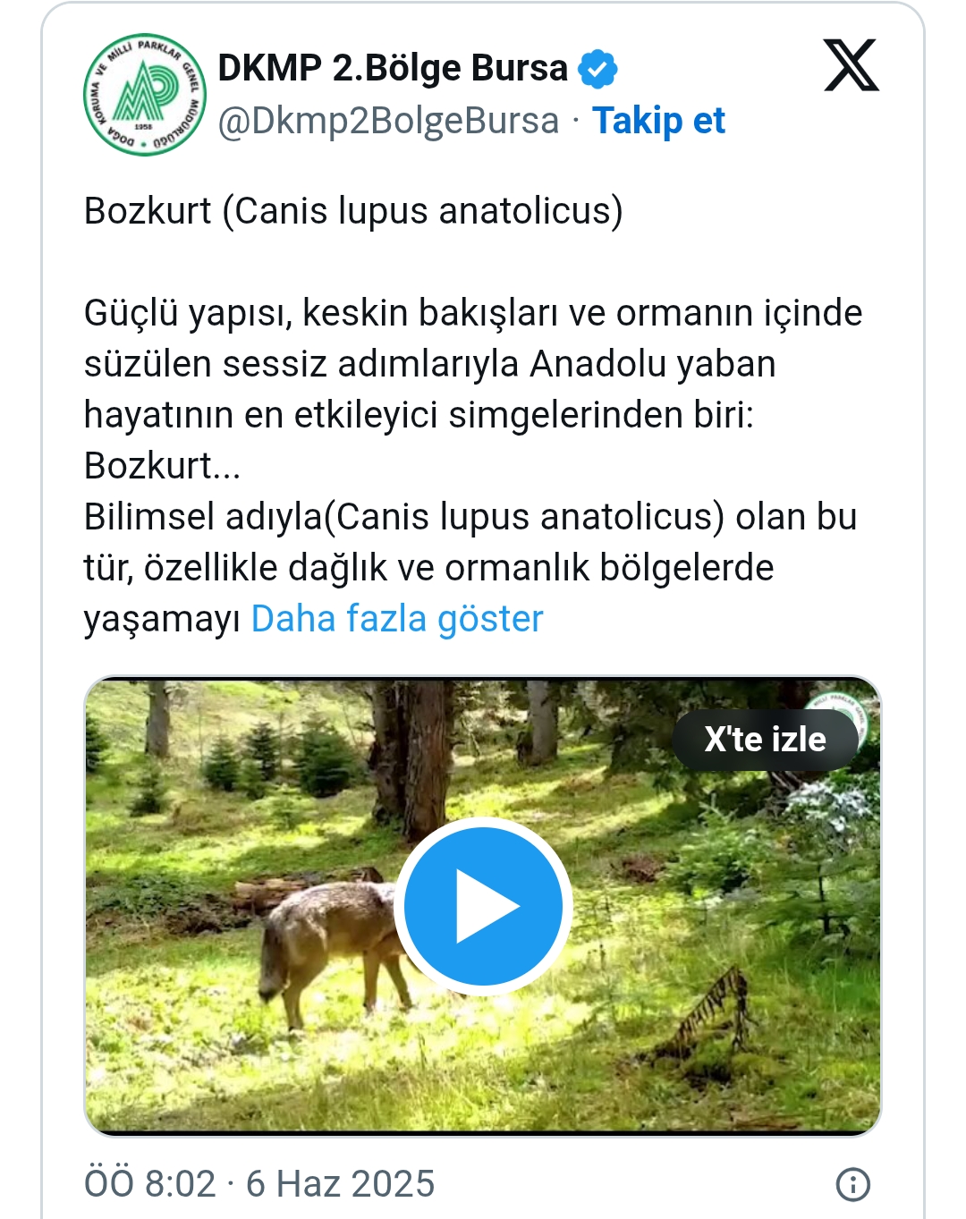 Screenshot 2025 06 06 16 15 23 76 40Deb401B9Ffe8E1Df2F1Cc5Ba480B12