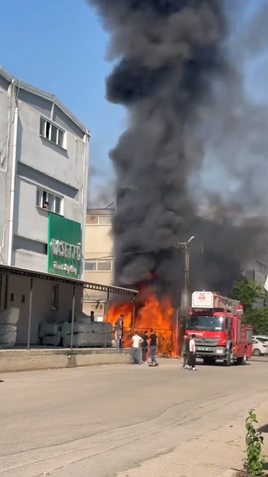 Whatsapp Image 2025 06 16 At 09.33.48