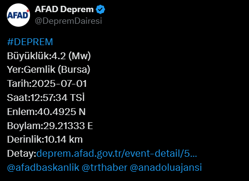 Ekran Görüntüsü 2025 07 01 130519