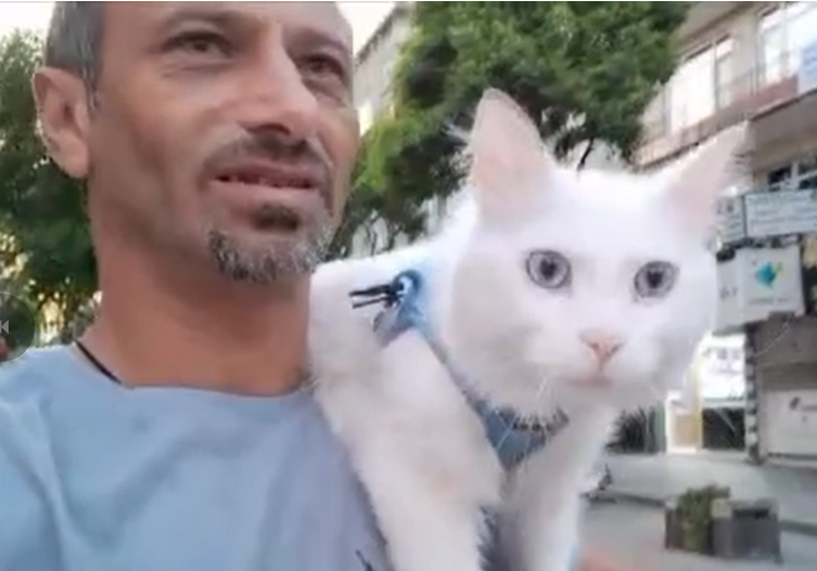 Ekran Görüntüsü 2025 07 13 134024
