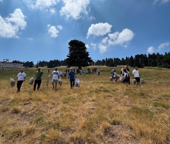 Ekran Görüntüsü 2025 07 13 172514