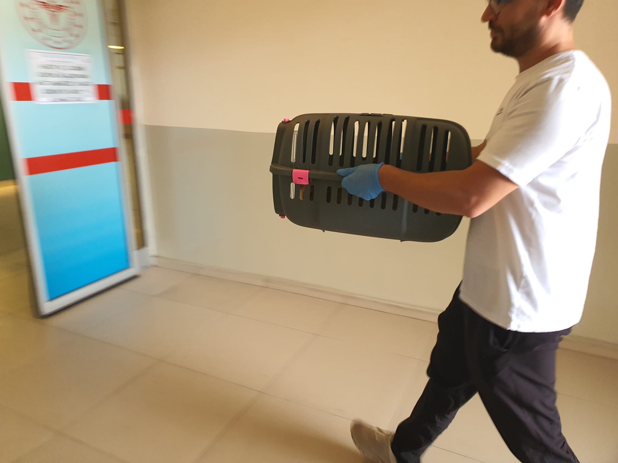 I M G 20250719 W A0020