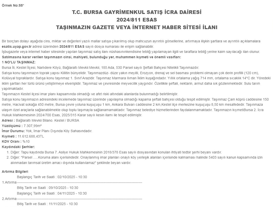 Whatsapp Image 2025 07 10 At 11.43.49