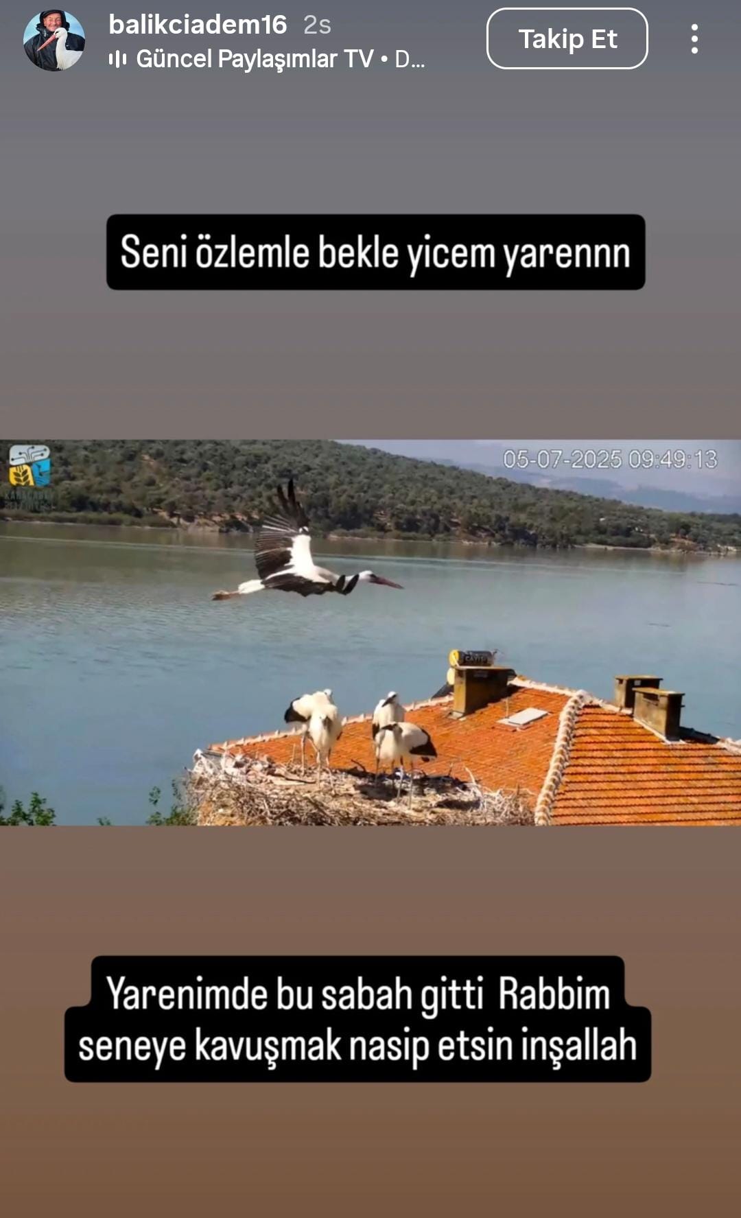 B0F08Cc9 56Ac 45E6 9F0B 374D7F9F4D33