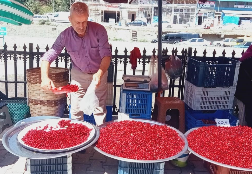 Ekran Görüntüsü 2025 10 16 165320