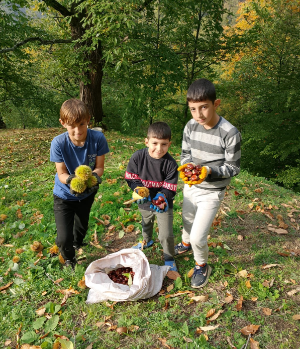 Ekran Görüntüsü 2025 10 19 141126