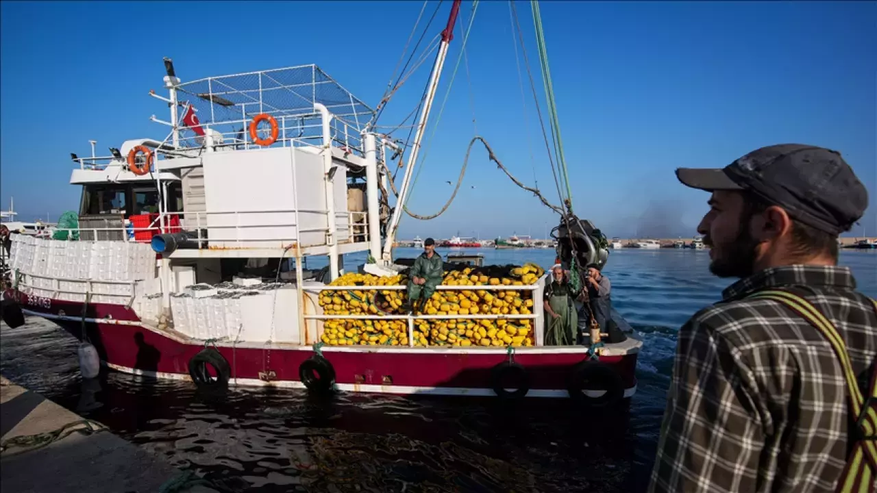 Maaslar 100 Bin Tlye Cikti Balikcilar Eleman Sikintisi Yasiyor 1761552367 6638