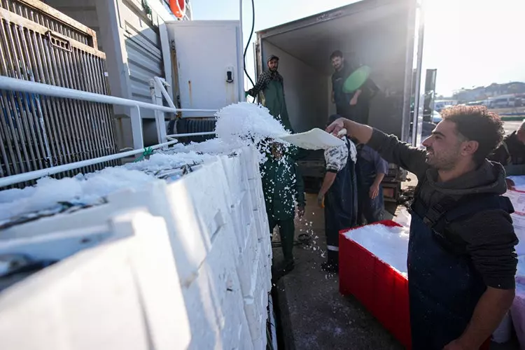 Oe O Oq 1761552393 1334