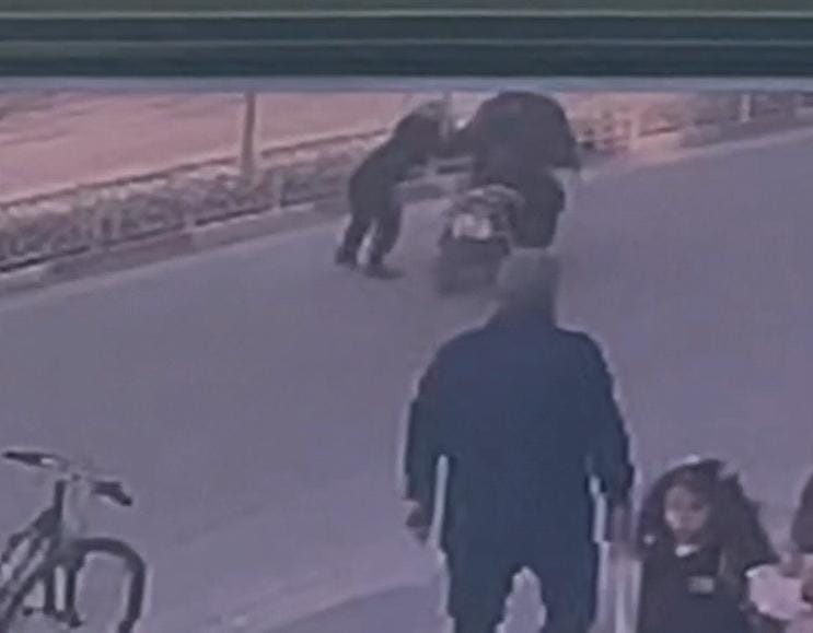 10Fe0376 6B7B 412E 9317 F1B4A93E259E