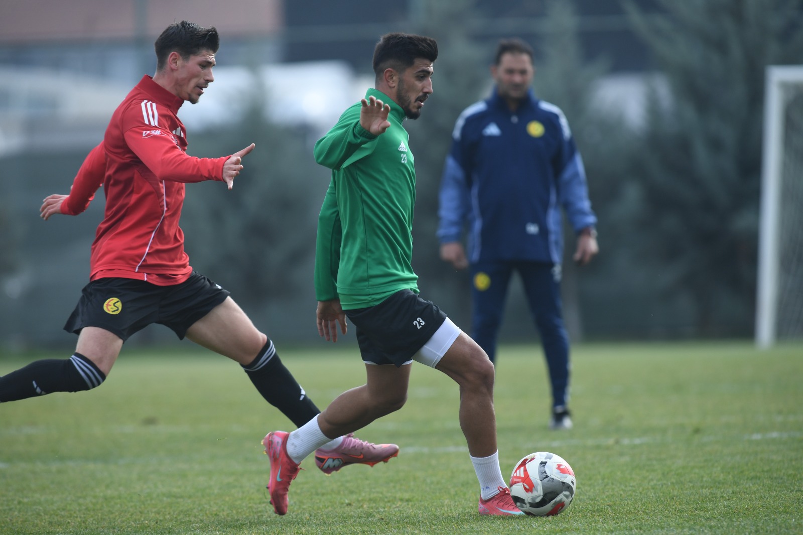 29Db71Ec 10E8 47Ad Aefc Da987Dd18C84