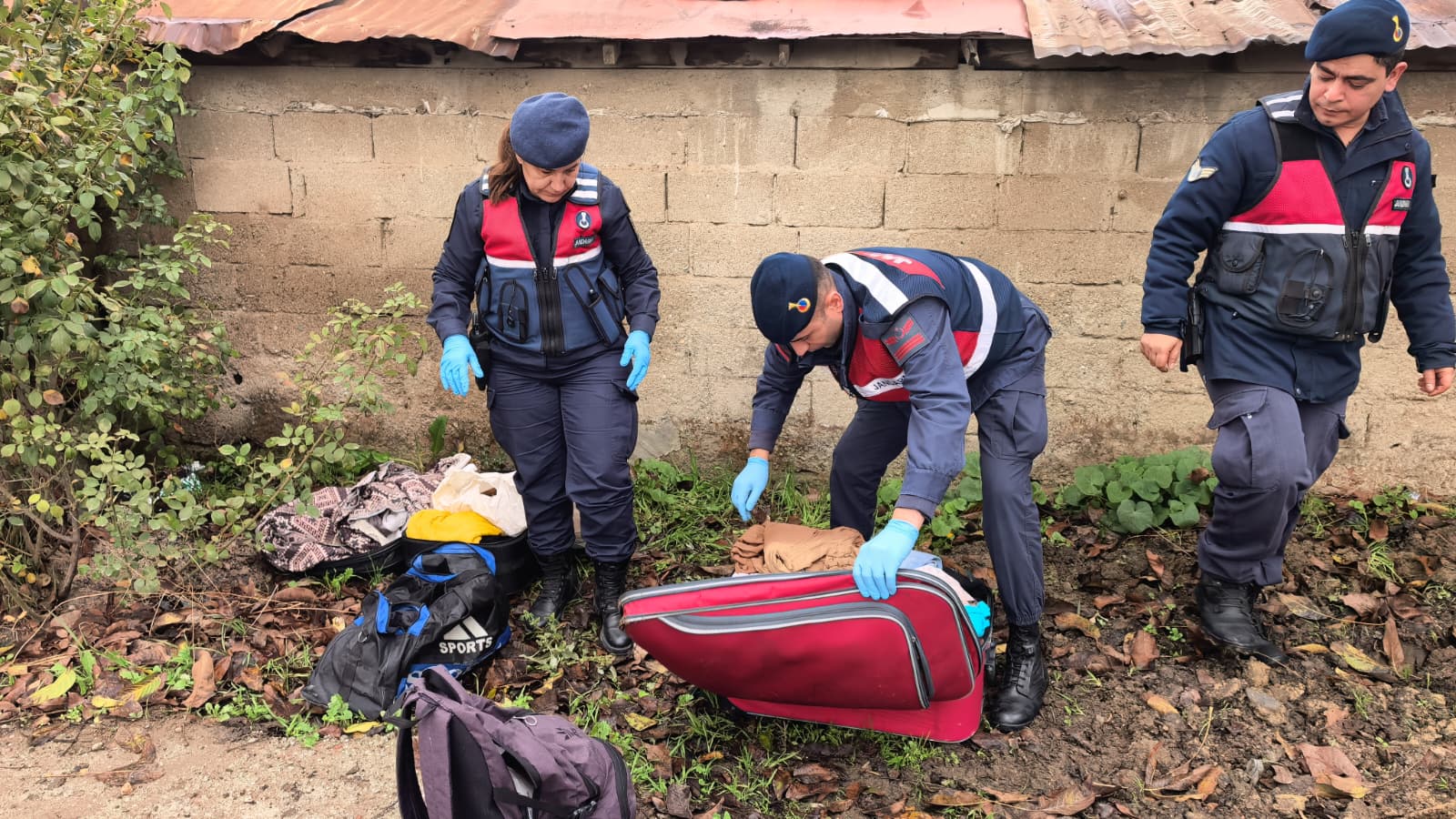 2E01Fab6 221D 4269 8837 C39F4A272F80