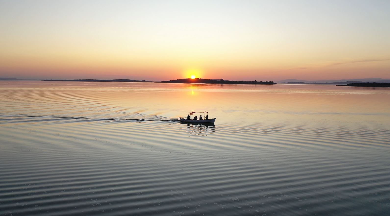 35942 M T Y4 O W Vm Z G