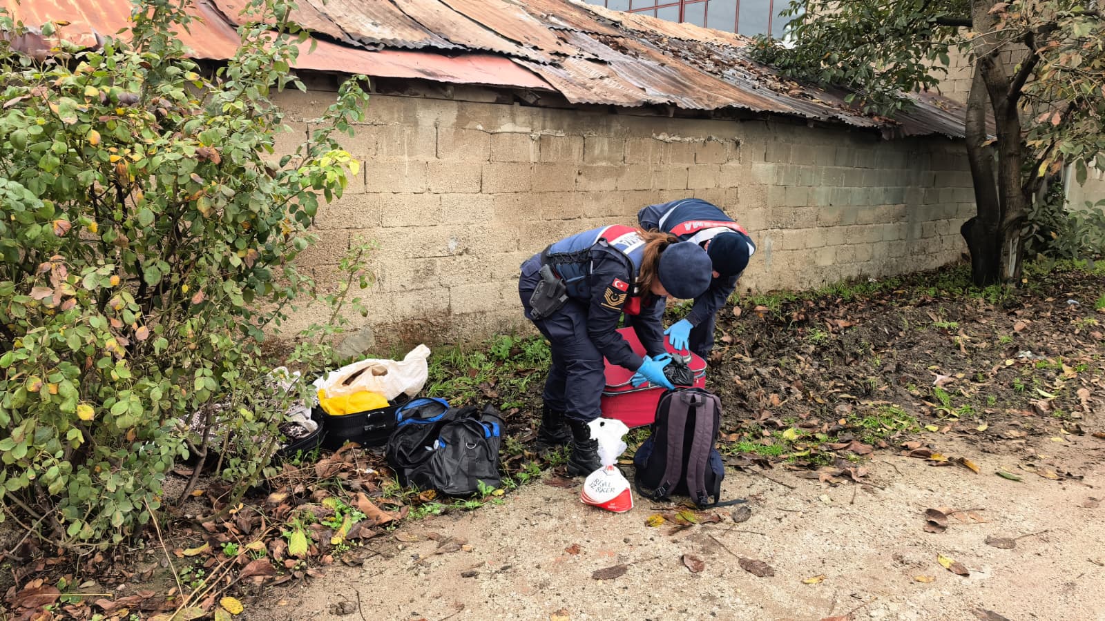 44D64Bac 800A 4A4E 8Bac C433851C75E6-1