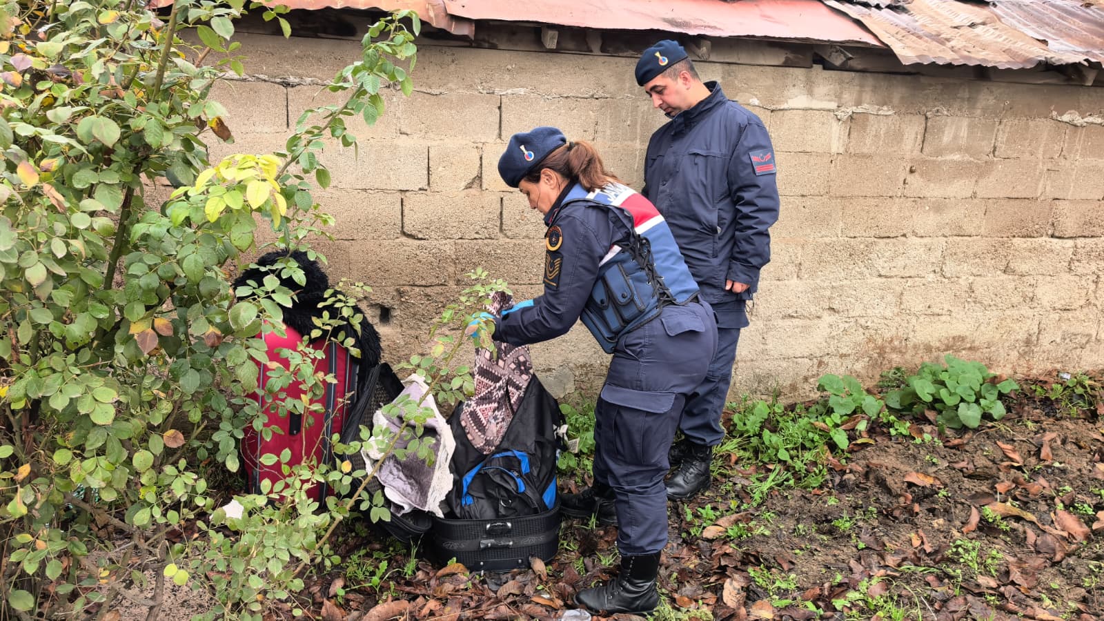 59D17E01 00Db 4Dc6 9735 4Bdc61Ed244F