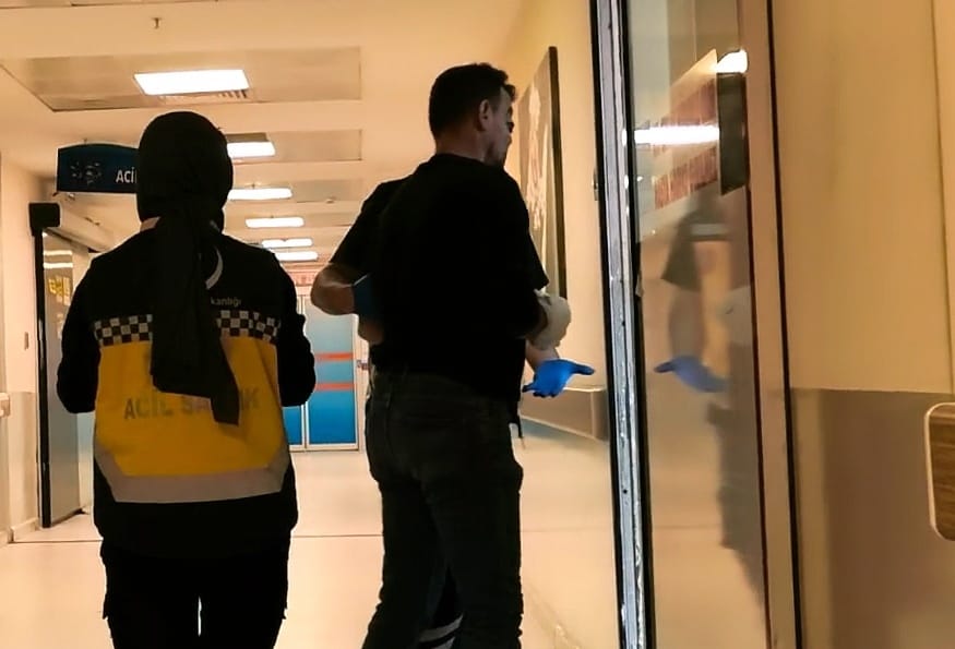 7Bb23233 A47B 40C1 8Bf7 D80545E947Df