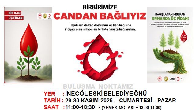 8Dc8Ce2C Ca01 411C A49B 5B3312F27B72