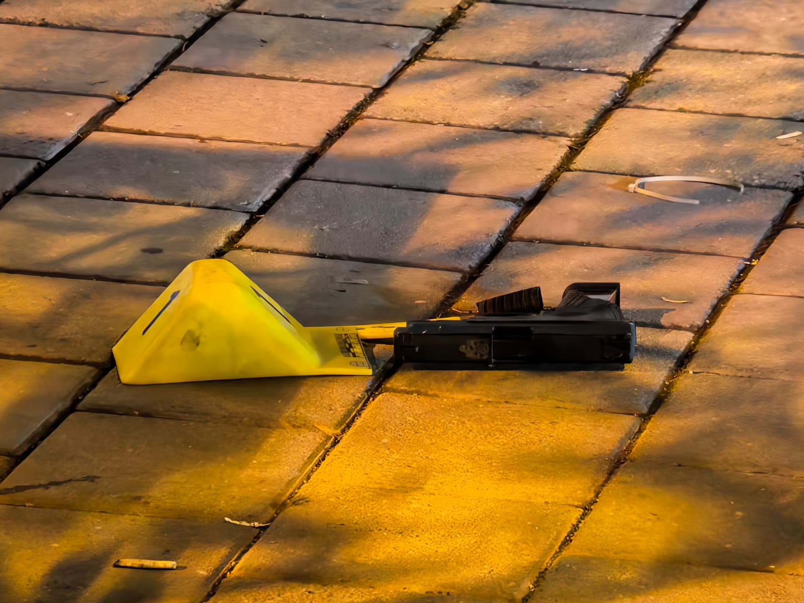 Acfeb9Bd A9C5 49Bf 8F78 4E5Bda501F58