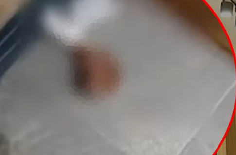 Ekran Görüntüsü 2025 11 13 155636