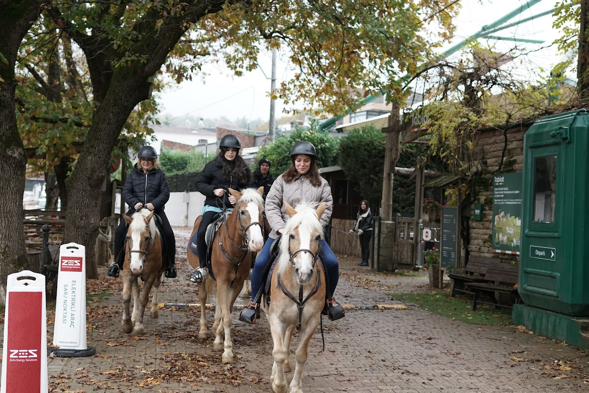 Ekran Görüntüsü 2025 11 20 153613