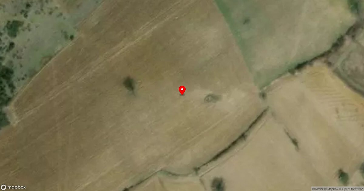 Whatsapp Image 2025 11 04 At 14.55.11