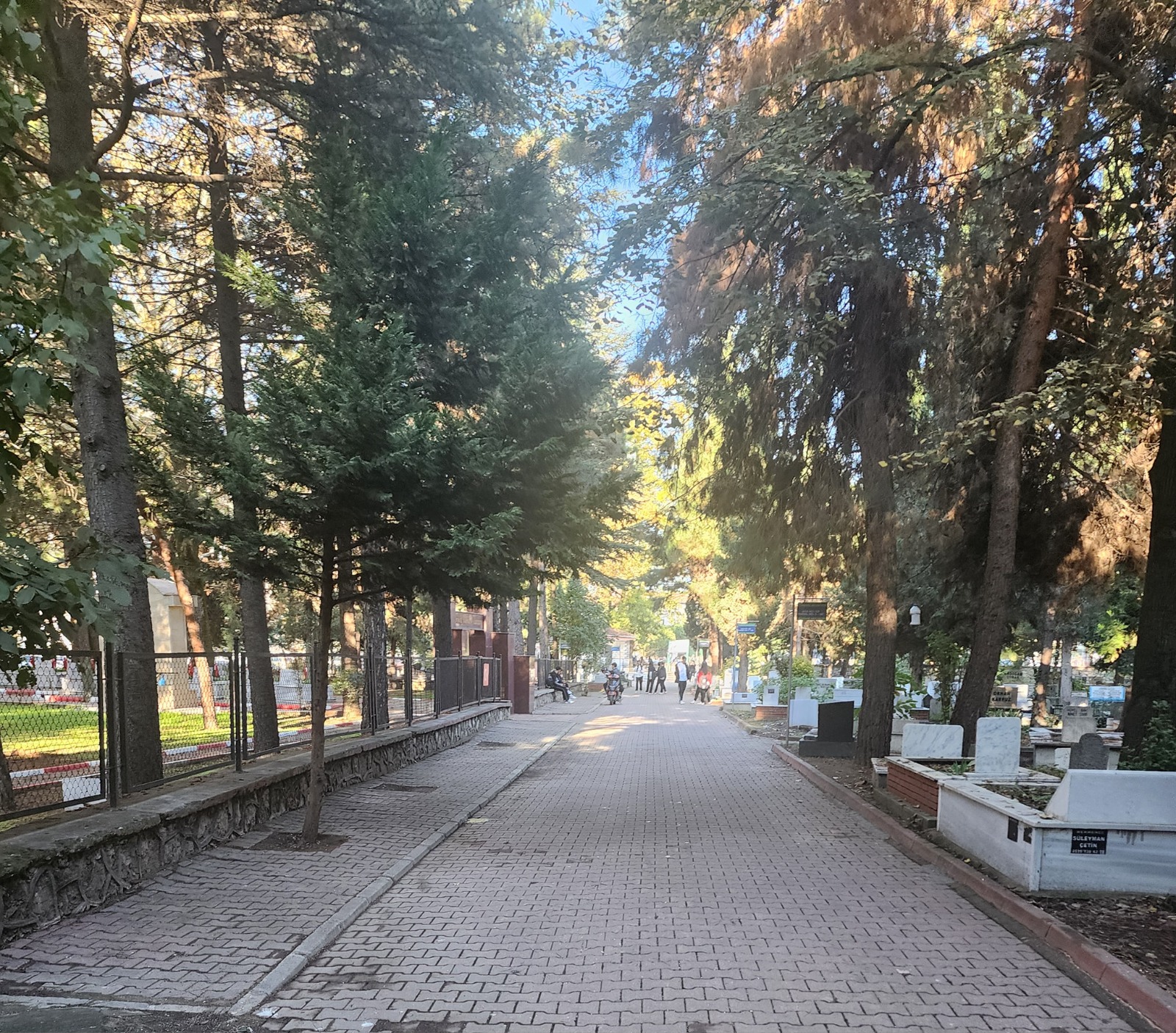 Whatsapp Image 2025 11 11 At 11.35.22