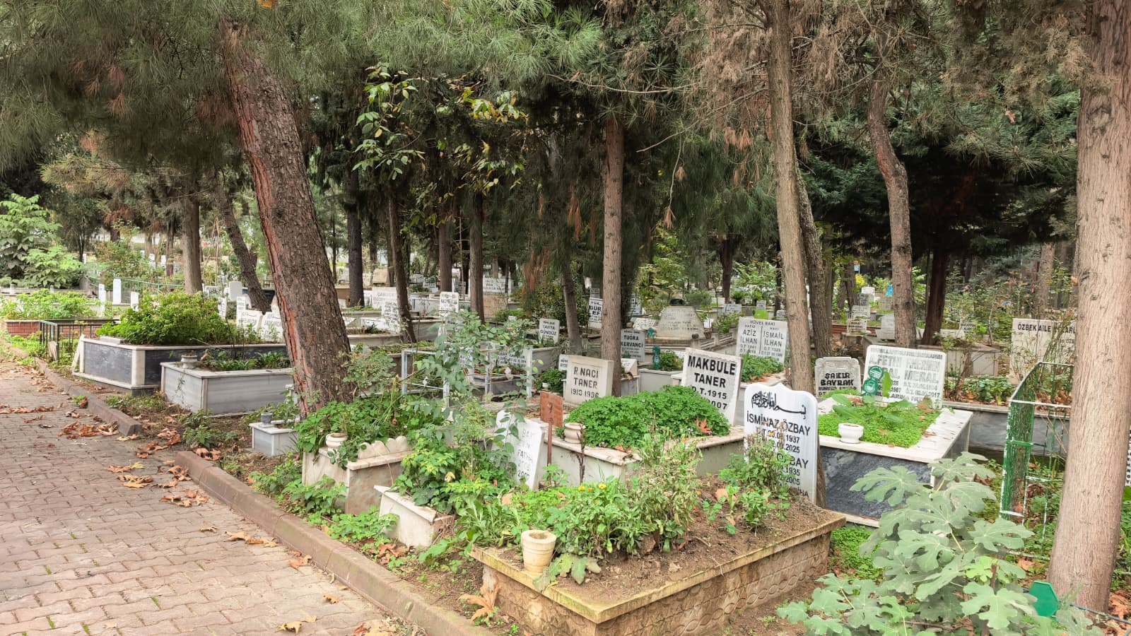 Whatsapp Image 2025 11 11 At 13.57.10 (1)