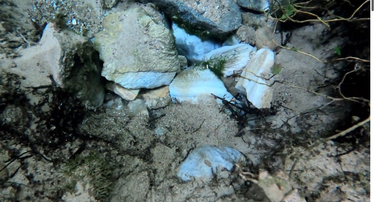 Whatsapp Image 2025 11 17 At 17.25.32