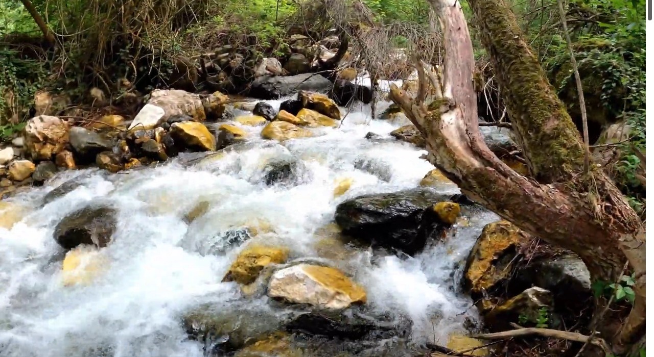 Whatsapp Image 2025 11 17 At 17.27.38