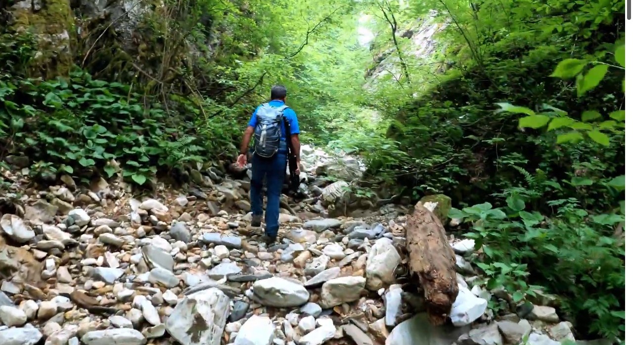 Whatsapp Image 2025 11 17 At 17.28.52