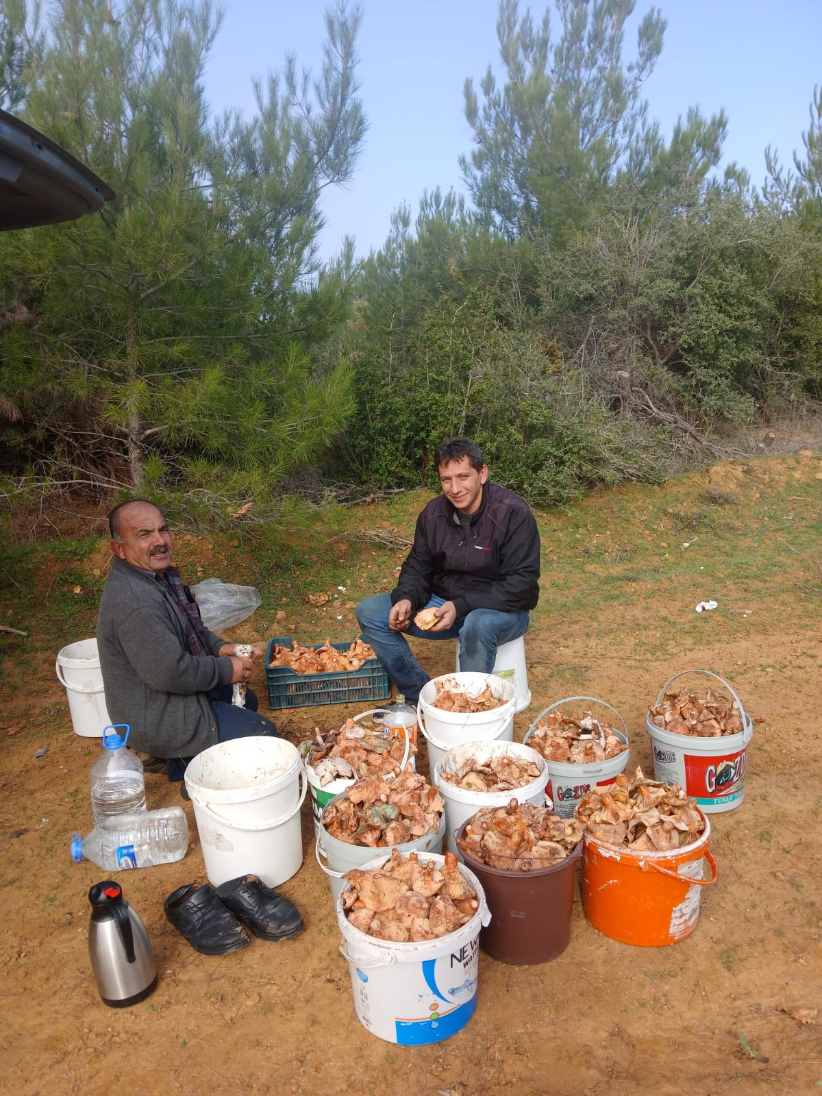 Whatsapp Image 2025 11 18 At 13.16.25