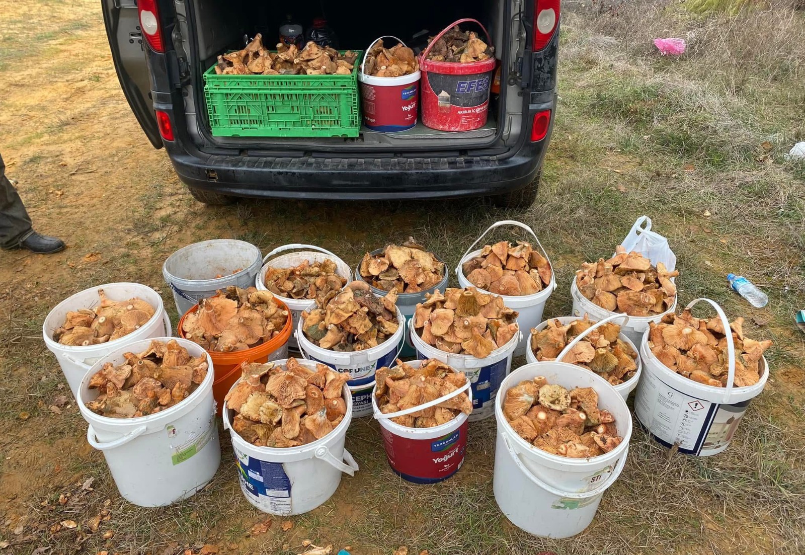 Whatsapp Image 2025 11 18 At 13.16.28