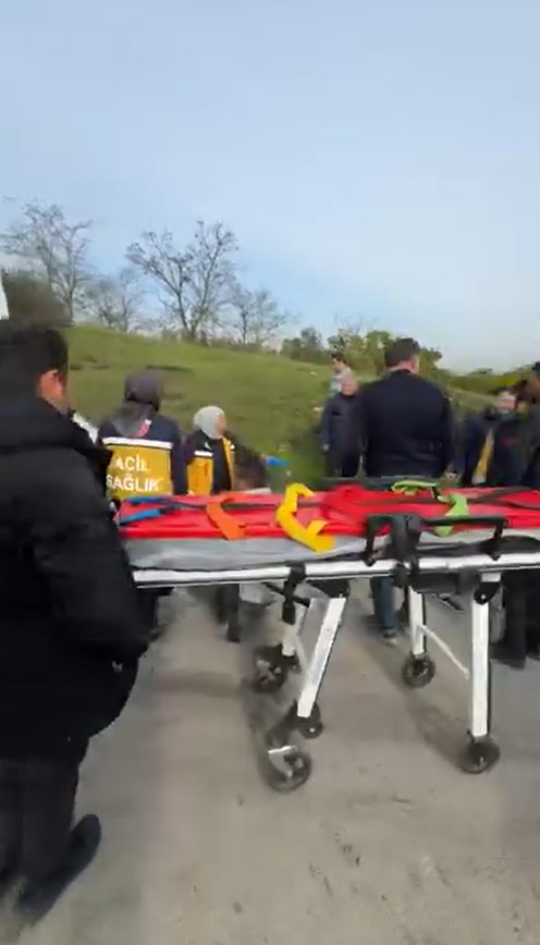 083Eebc1 E438 4E50 9Adf Cd128B019Cb1