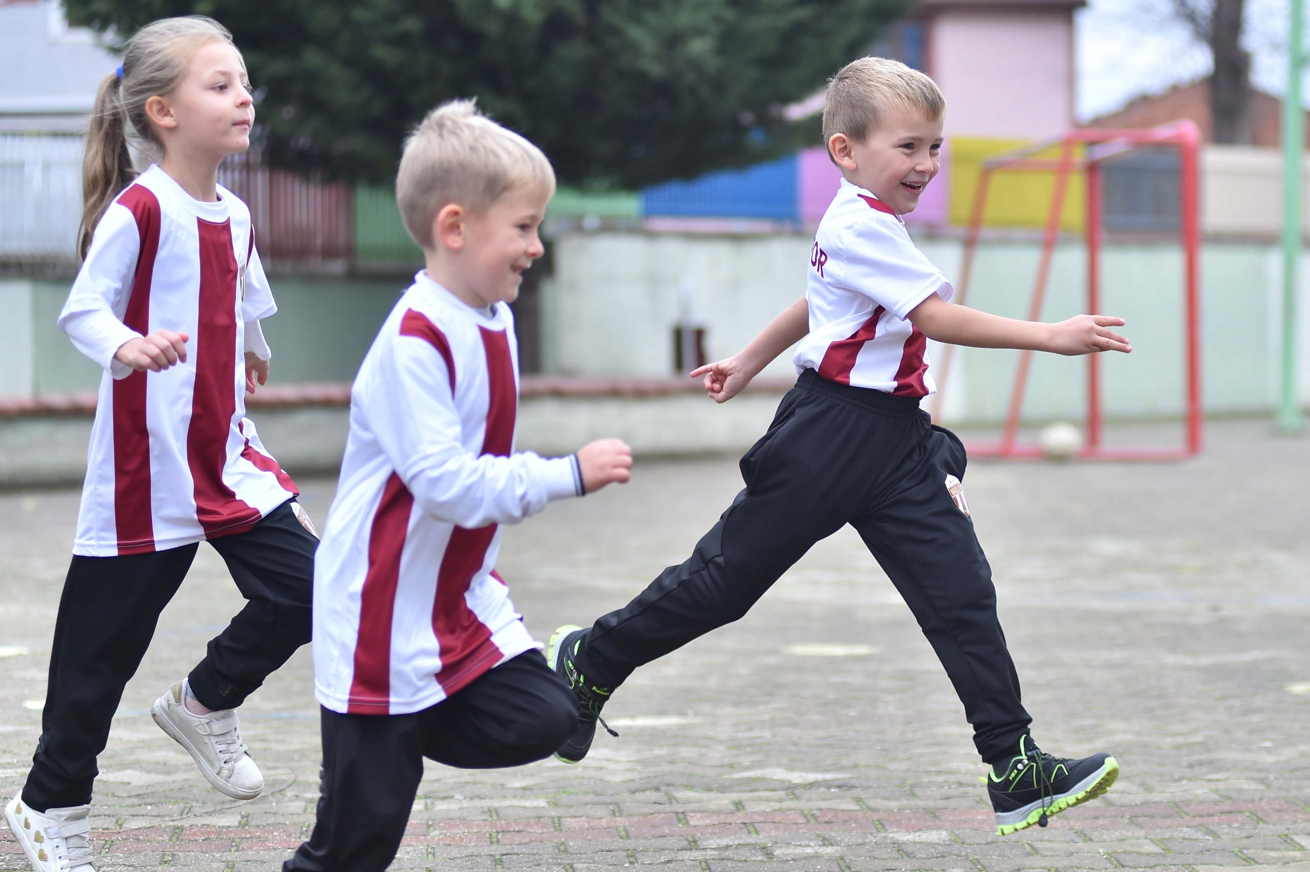 2561942E E316 45Fb 881C 303B04Edf8Bd