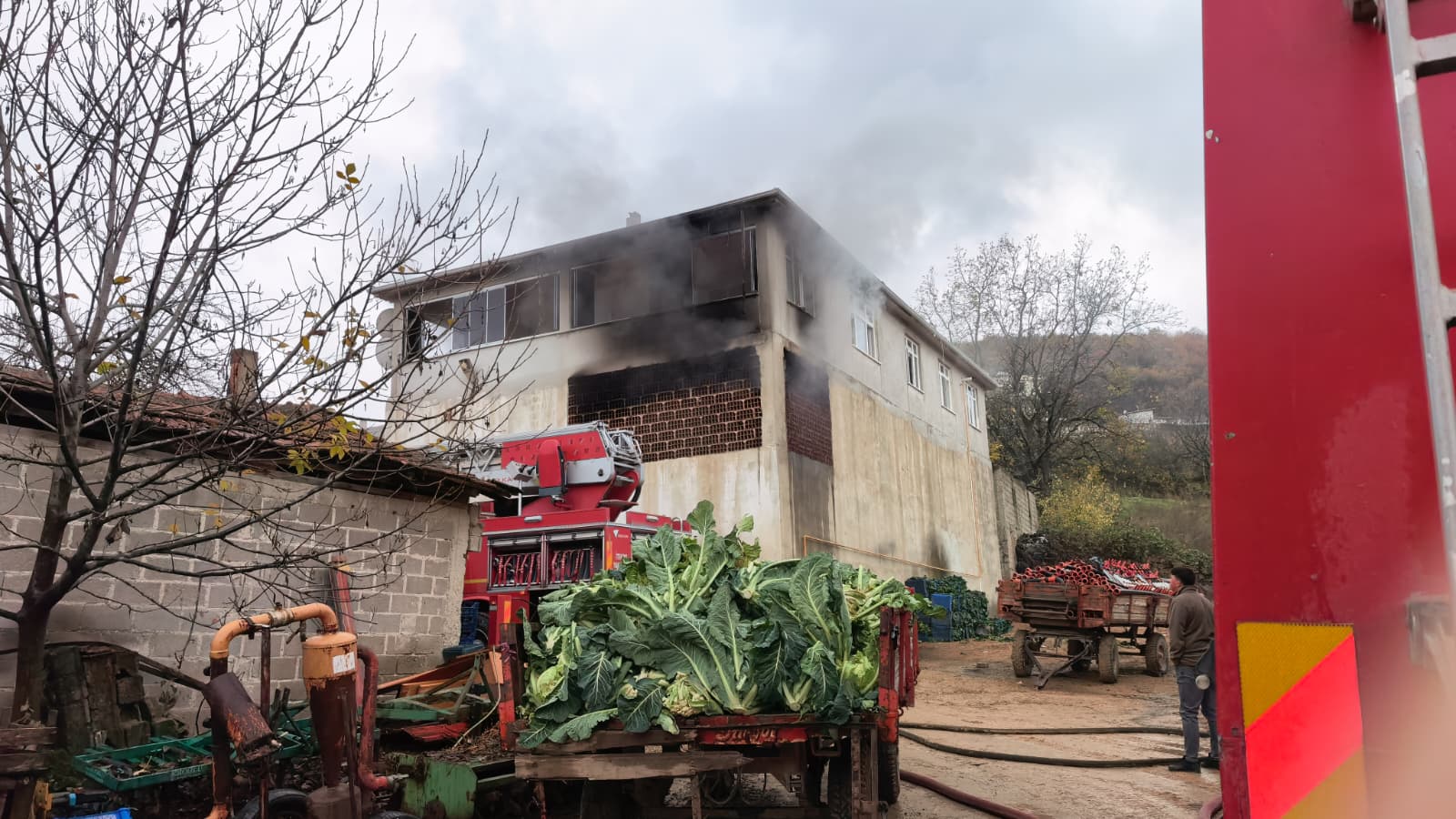 722Ded9C A68D 440C 9Dab 1D1Fe72Cc0D5