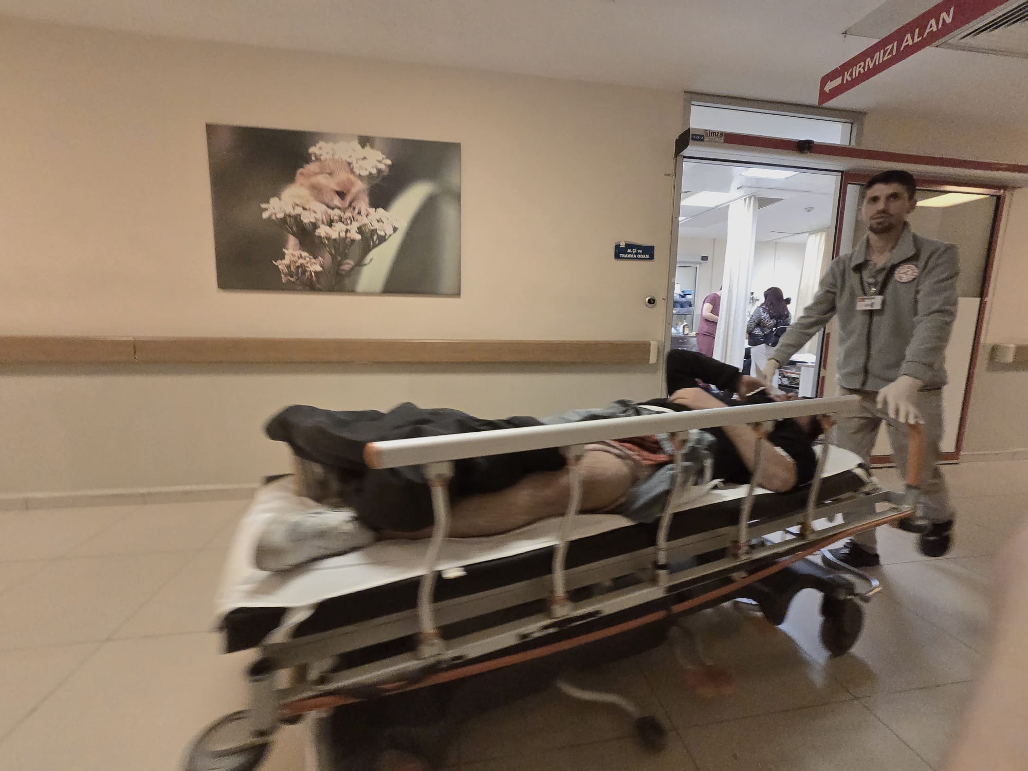 75Acd631 62Da 4Ec7 A33E 40F18Eab65Bb