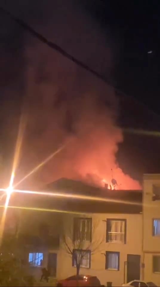 7Dd415F8 843C 47Db 9557 71420Dd7F1A1