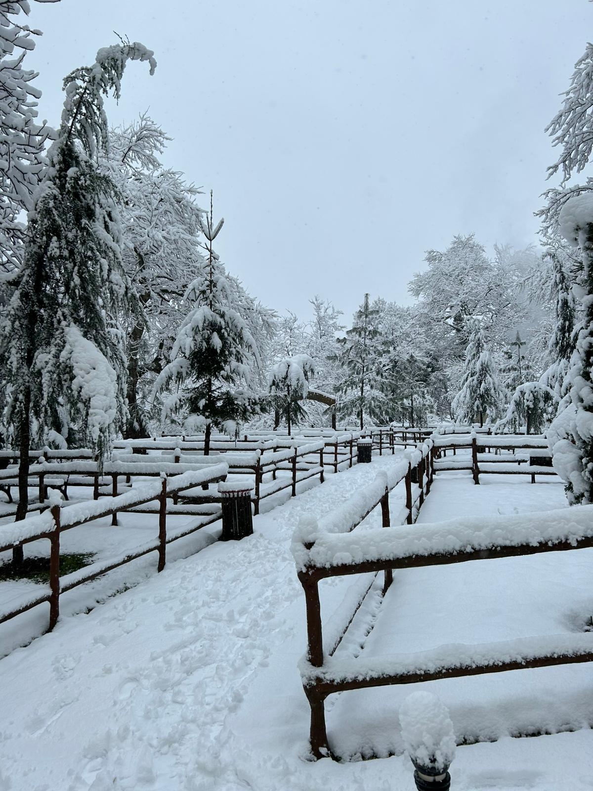 7F8F393C 8218 4240 8Fe5 38C890Fc2C53