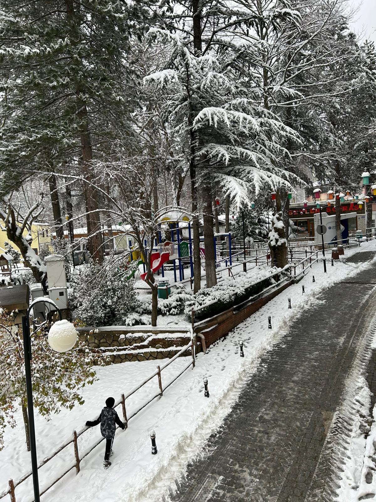 A1500F53 5E38 4F5B 9575 3457Cbbf36B0