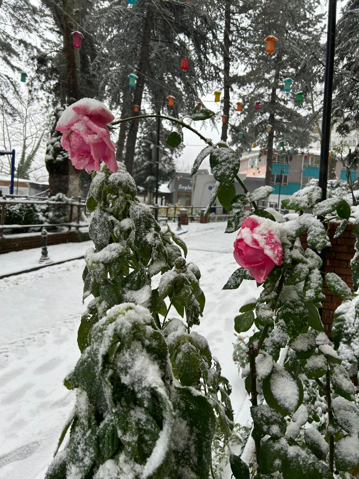 A7D072Ab D95A 4656 8C4E E1A9C3Bb98Ef