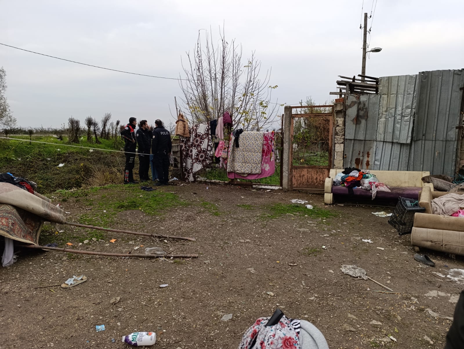 E80539E6 5015 4526 86Bc 1F29D1A998Aa