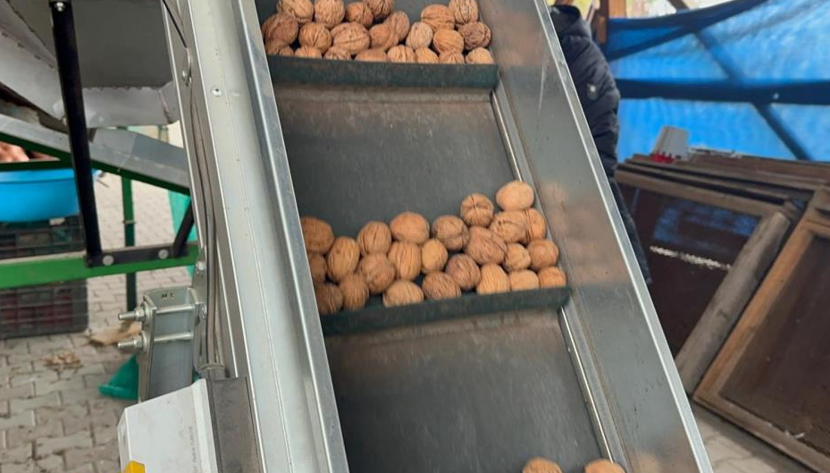 Ekran Görüntüsü 2025 12 22 121611