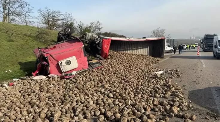 F3Aba37E 94Df 41F6 Bef0 E10523Ab354A