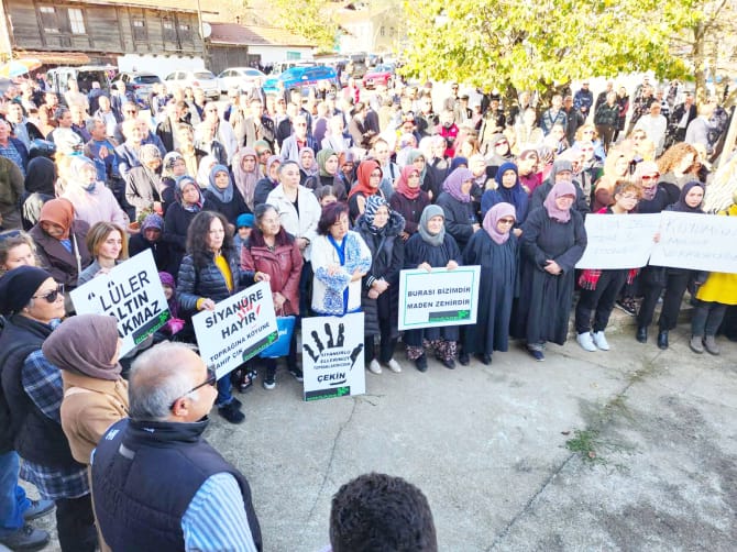 Fcf88143 B02B 409E 8B1F E635Eab330C5