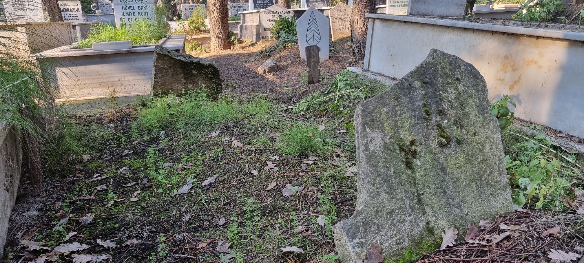 Whatsapp Image 2025 12 18 At 13.39.13 (1)