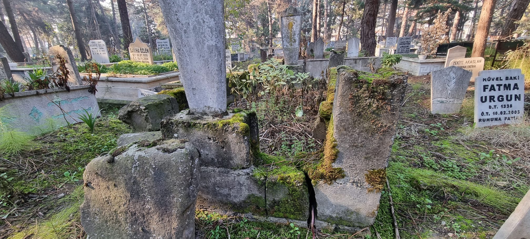 Whatsapp Image 2025 12 18 At 13.39.14 (1)