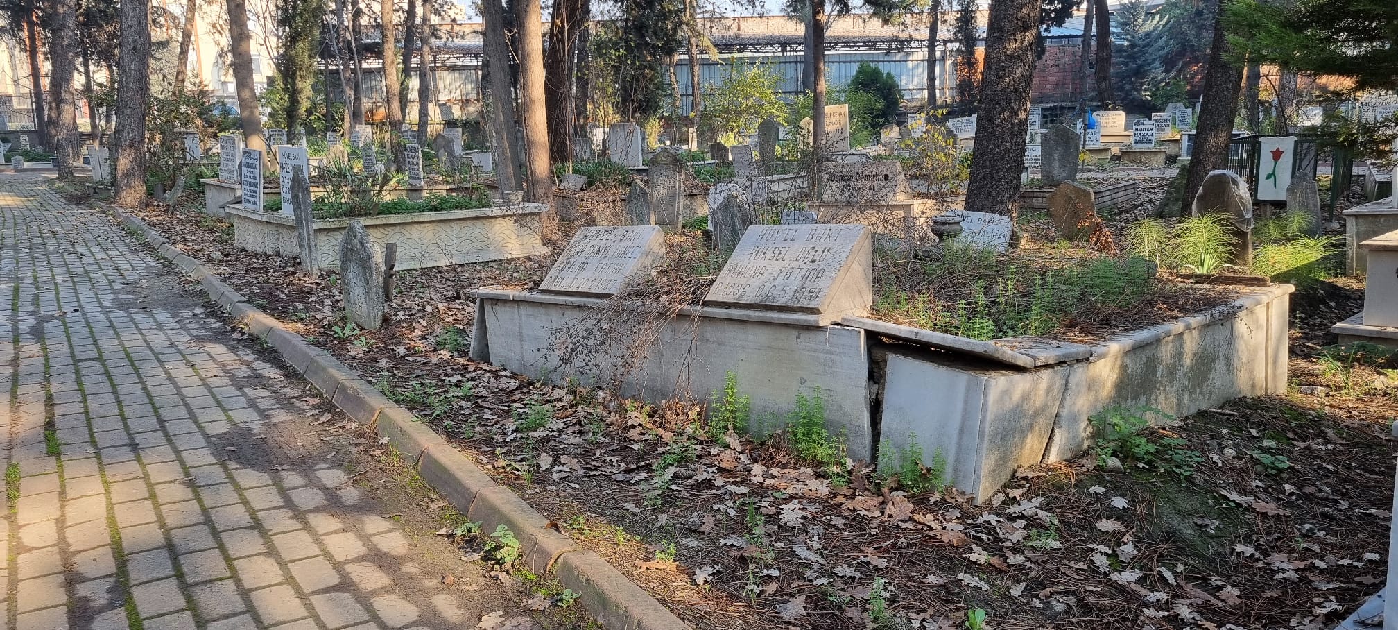 Whatsapp Image 2025 12 18 At 13.39.15 (1)