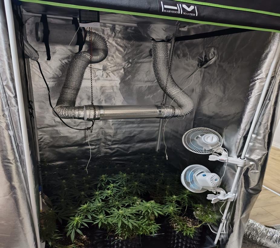 33Ec2858 C8F9 467E 91D0 55877E9Fb937