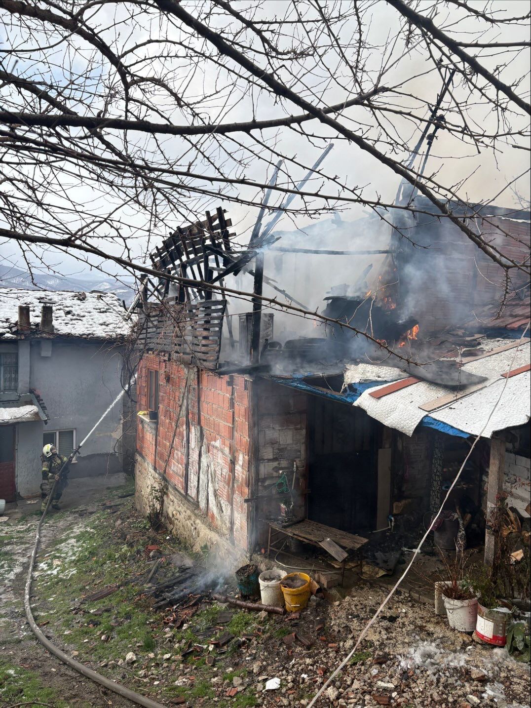 72Ff78D1 Ffa6 4Bde B5D5 288Dc90Df6Ad